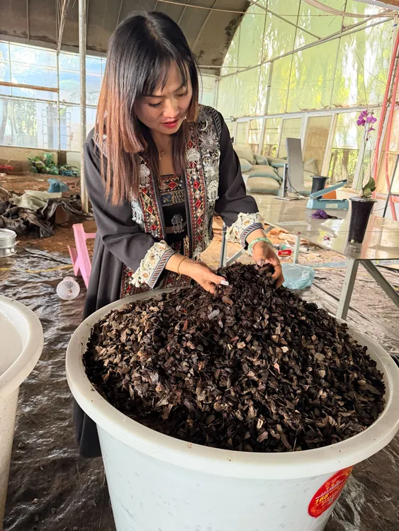 云南兰花土高温杀菌天然发酵