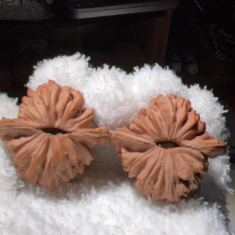 24年全品四座楼尺寸可选