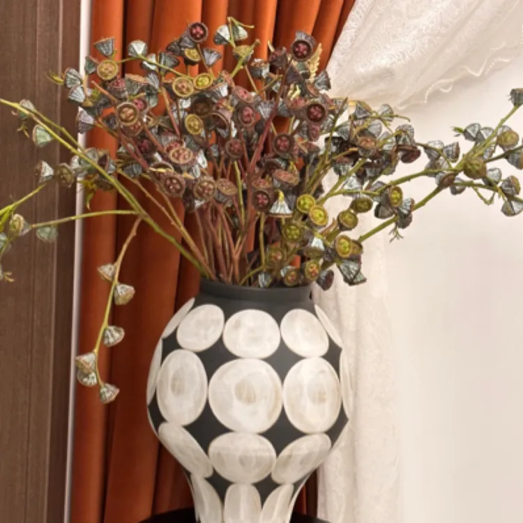 A级钻石尤加利果老果（水培3-4天做干花）