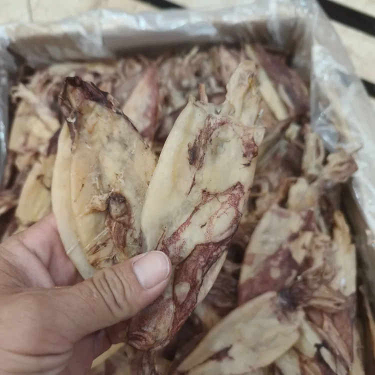 @福建惠安本港索管特管食用新嫩美味自晒鱿鱼筒 干货