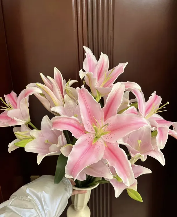 高品质（索尔邦）粉色香水百合东北基地顺丰包邮鲜花水切花养护花束