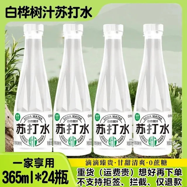 愉果先生白桦树汁苏打水365ml*24瓶夏天水饮品植物饮料0添加0蔗糖
