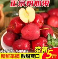 东北鸡心果锦绣海棠脆甜多汁当季新鲜采摘水果-1