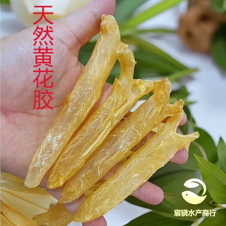 【直播专享】正宗天然黄花胶产后月子胶女人胶滋补厚肉煲汤奶冻营养