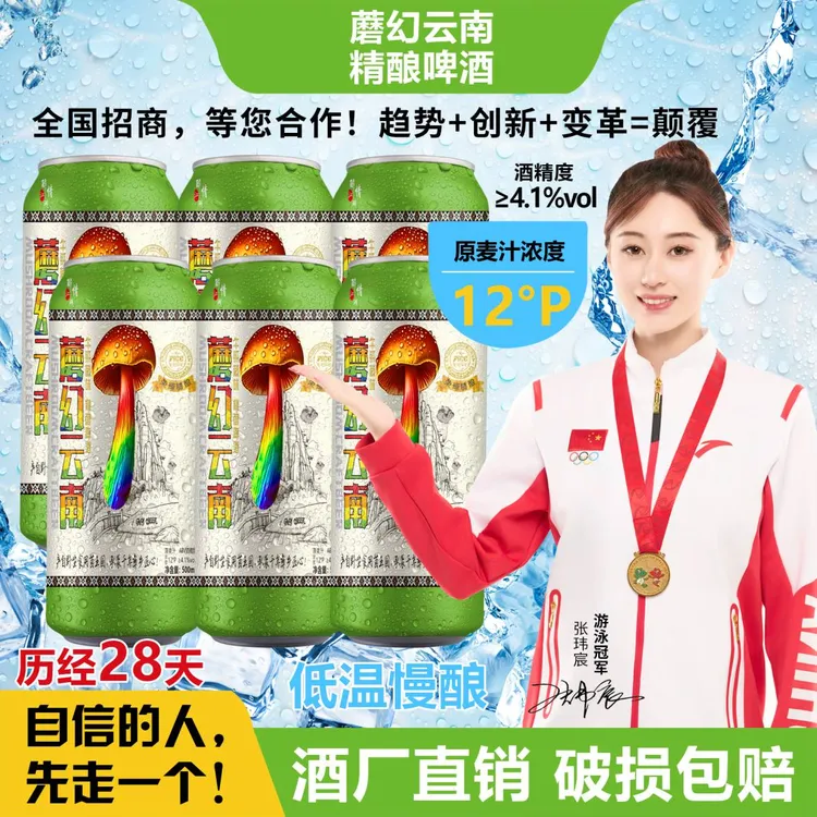 蘑幻云南牛肝菌味精酿啤酒云南特产500ml【厂家直销，非代工】