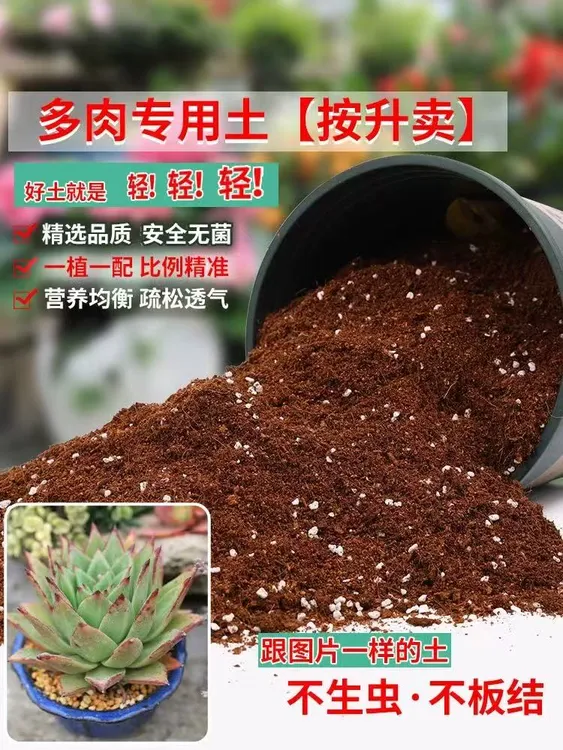 多肉专用土植物营养土颗粒多肉土小苗老桩专用营养土有机通用花土