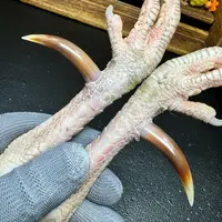 文玩鸡爪骨手把件（一对 处理好十天左右发货）2