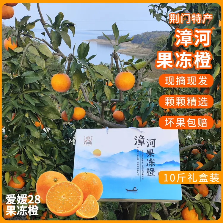 荆门特产漳河果冻橙现摘现发红美人爱媛28号湖北果冻橙10斤礼盒