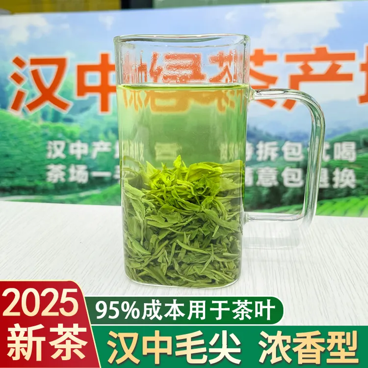 开播福利汉中毛尖绿茶2025新茶叶陕西高山茶浓香耐泡西乡炒青陕青