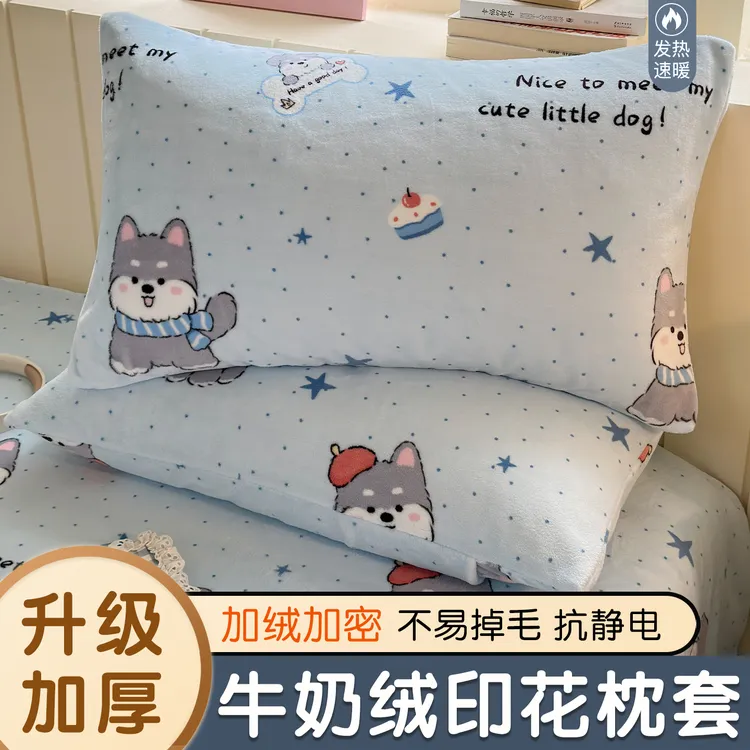 牛奶绒枕套一对装珊瑚绒枕巾枕头套秋冬亲肤48cm74cm枕芯套通用款