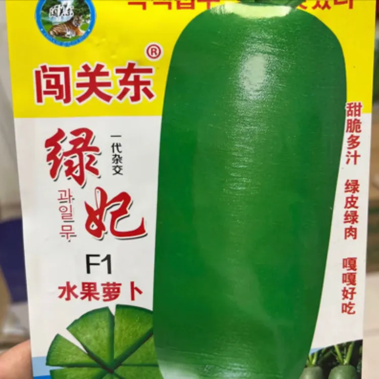 绿妃水果萝卜种子