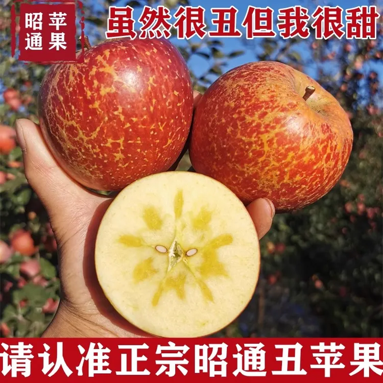  【现摘现发】昭通苹果当季新鲜冰糖心水果好吃爆甜脆甜多汁包邮发