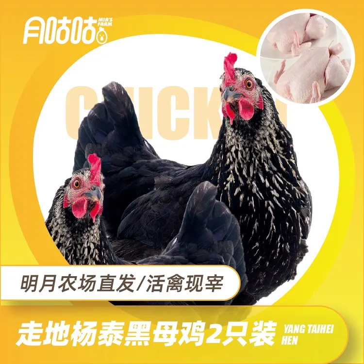 明月农场 | 散养600天杨泰黑鸡【两只装】