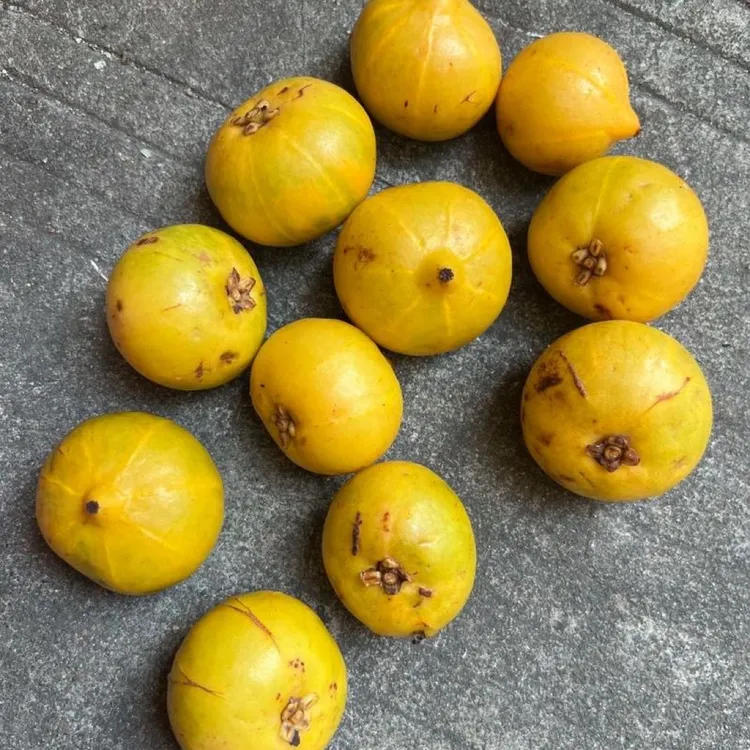 （逛街）廉江博白乡镇果蔬农产品完美主义慎拍