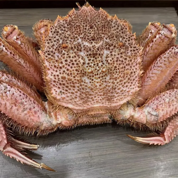 俄罗斯深海 红毛蟹 现场称重 现场拍 保鲜 不保活