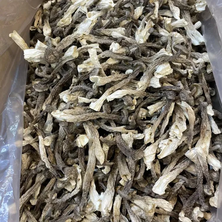 脆脆菇鹿茸菇煲肉炖汤家用炒菜菌菇干货