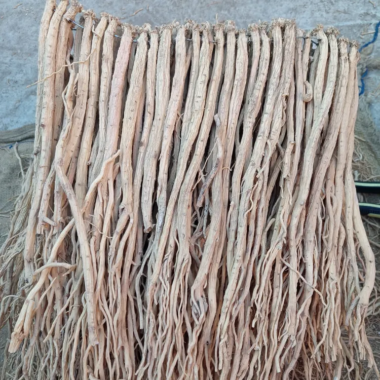 正宗甘肃岷县党参中条25年新干货无硫滋补养生煲汤泡水原产地直发