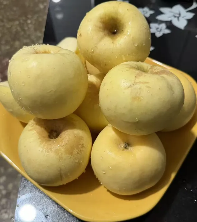 谢永强果园牛奶苹果4.8-5.1斤新鲜现摘发货