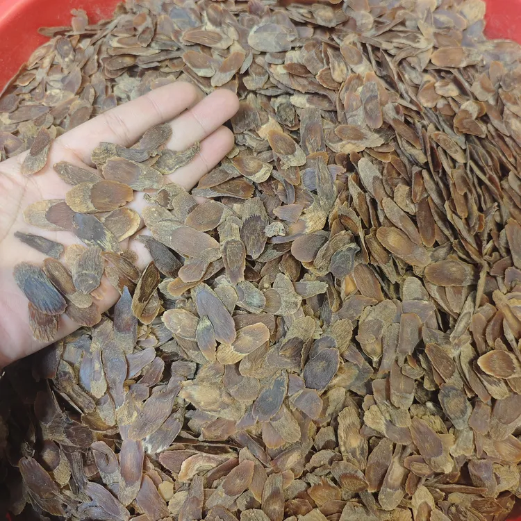 ［正品高丽中片］品质好色泽好煲汤泡水泡酒泡蜜非西洋参