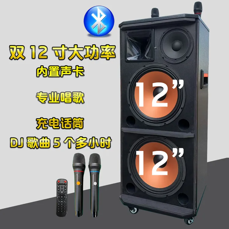 双12寸专业唱歌K歌直播广场舞舞台演出婚庆大功率蓝牙户外音响
