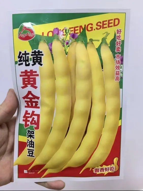 【不搭架黄金勾豆角种子】家庭阳台小院盆栽地栽四季种植