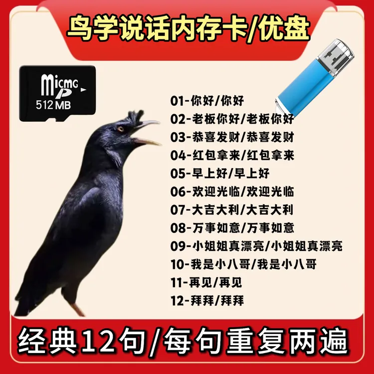 八哥鹦鹉教语学说话TF卡优盘支持多种设备