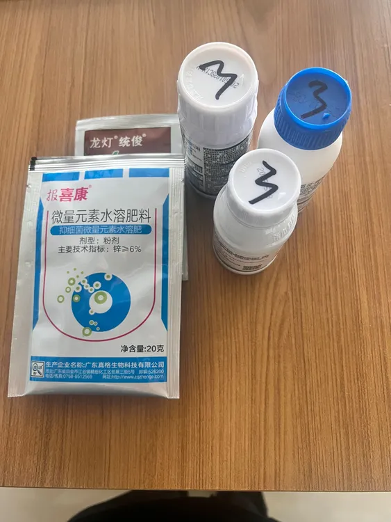 针对黑杆，黑萼，真细菌 叶面喷施