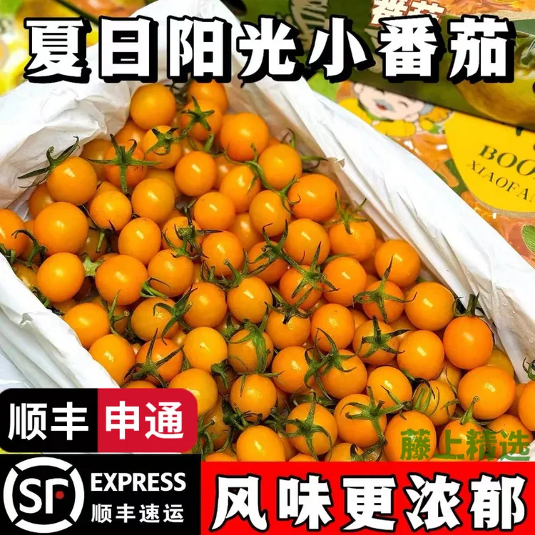 山东夏日阳光小番茄迷恋圣女果黄色酸甜小西红柿水果不打保鲜剂