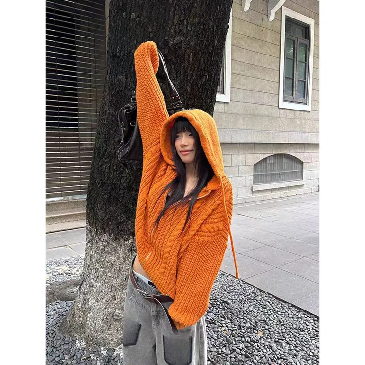 韩版高街痞帅连帽开衫毛衣男女新款潮流时尚休闲宽松高级感针织衫