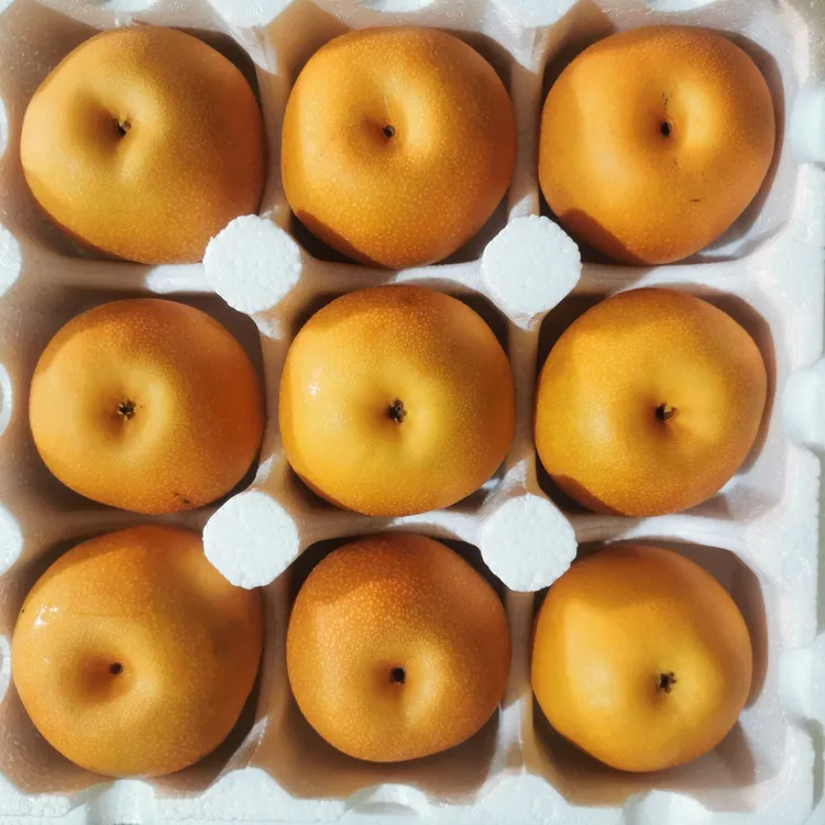 【顺丰】正宗秋月梨5斤新鲜现摘当季水果脆甜多汁皮薄