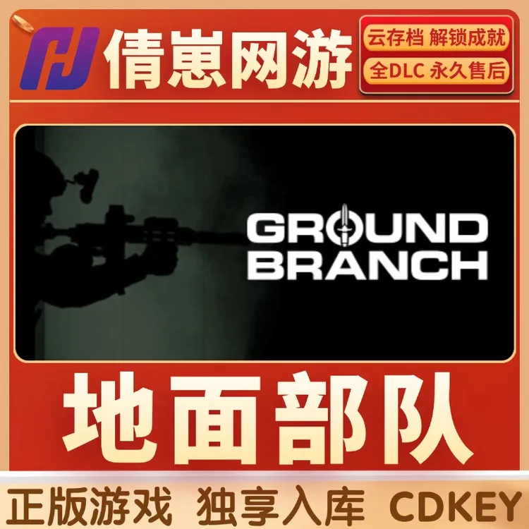 地面部队GROUND BRANCH激活码入库 steam游戏 CDKER 入库 全dlc