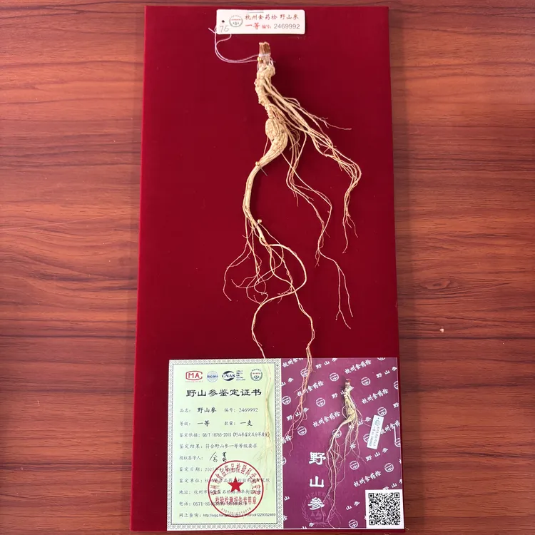 杭检一等野山参5-7克