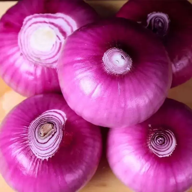 新鲜可生吃的水果扁蔬菜洋葱水果洋葱圆葱正宗口感脆甜微辣