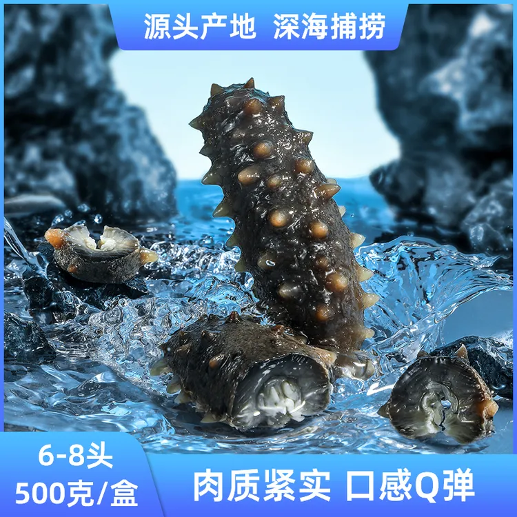 正宗精选鲜食海参独立包装金秋进补送礼佳品营养滋补500克/盒