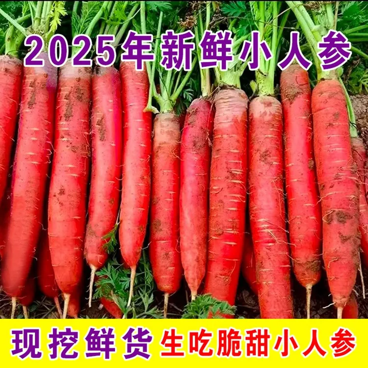 甘肃沙漠水果红萝卜新鲜现挖脆甜多汁产地直发营养美味5斤装