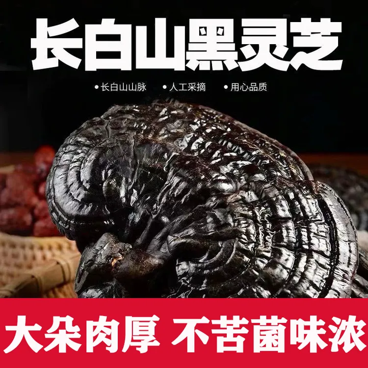 正宗长白山黑灵芝整个天然黑灵芝煲汤泡酒野生黑灵芝不苦黑灵芝