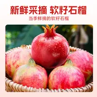 【泡芙妈咪专属】四川会理软籽石榴4.5斤新鲜当季水果爆汁饱满多汁
