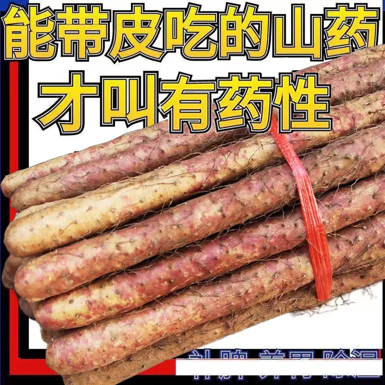 【净重5斤】河南温县正宗铁棍山药新鲜粉糯营养健康蔬菜拉丝绵密