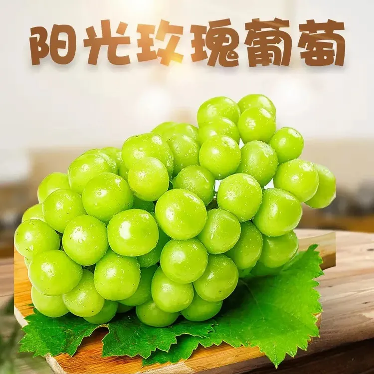 正宗阳光玫瑰葡萄整串现摘新鲜农场发货整箱应季颗粒饱满+0