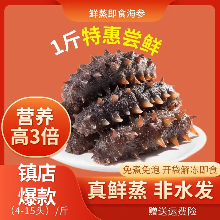 4-15头/500g 品质鲜食海参正宗辽参高品质开袋即食源头直发