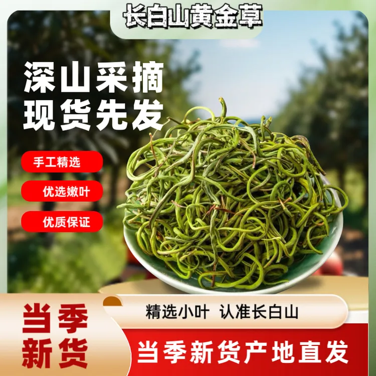 长白山关东茶长白山黄金草石头茶手工采摘50克长白山嗷嗷精茶