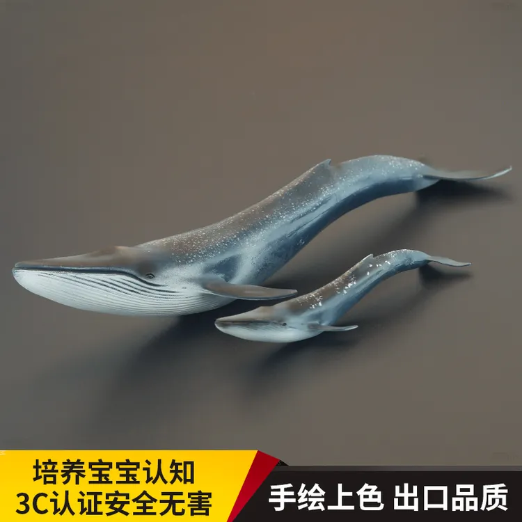 儿童实心仿真海洋哺乳动物玩具模型蓝鲸剃刀鲸须鲸科认知礼品摆件