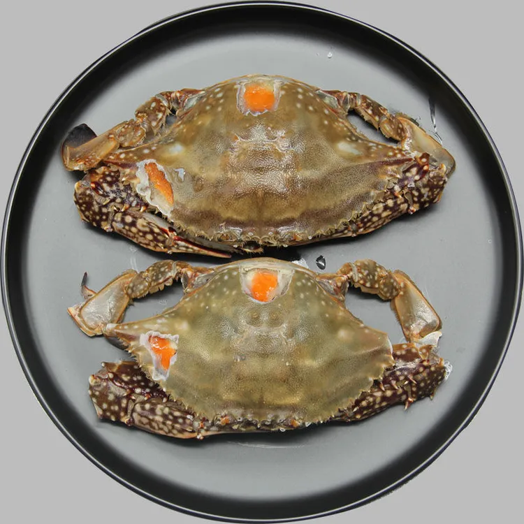 （姐弟海鲜）舟山精品红膏呛蟹4两左右/只咸蟹醉蟹生腌即食不能蒸煮