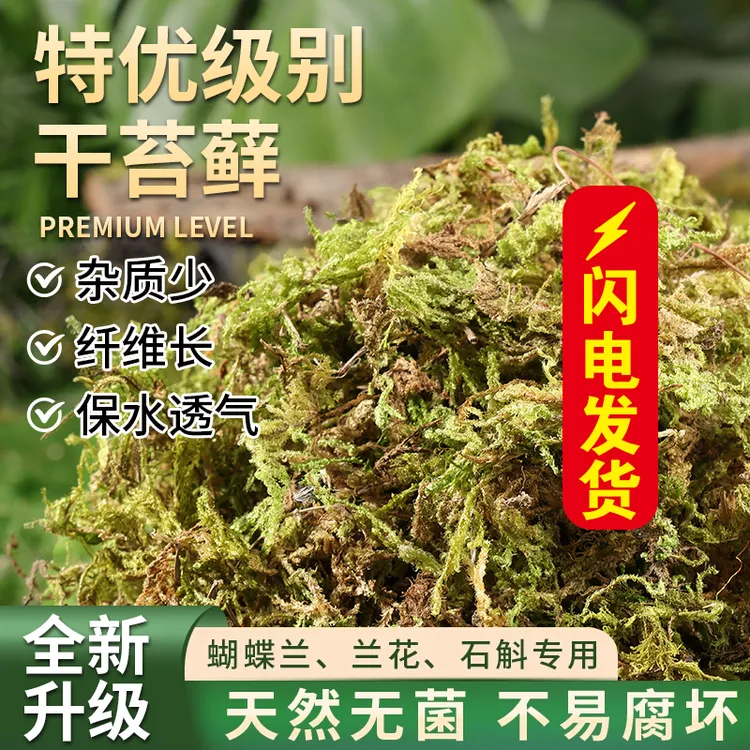 水苔干水苔蝴蝶兰专用土兰花铺面种植苔藓石斛食虫植物爬宠垫材