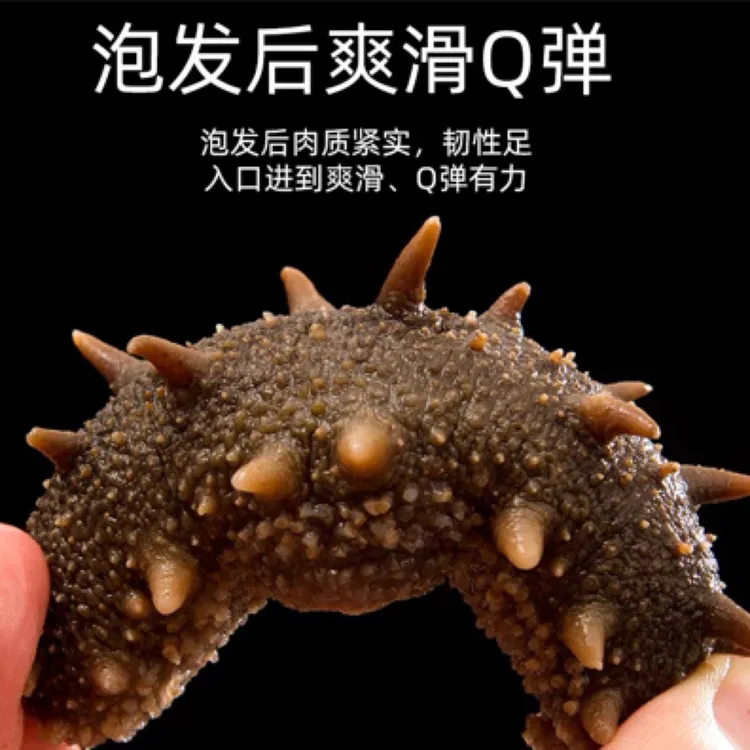国标特级纯淡干高泡发海参无添加
