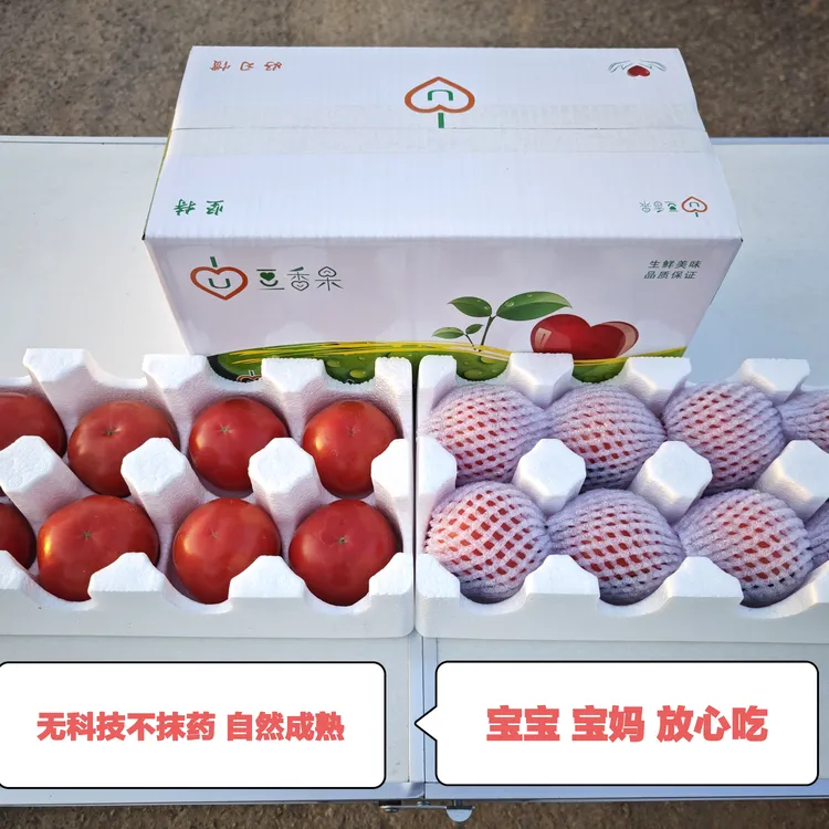 豆香果普罗旺斯西红柿产地直发顺丰包邮陕西水果西红柿番茄