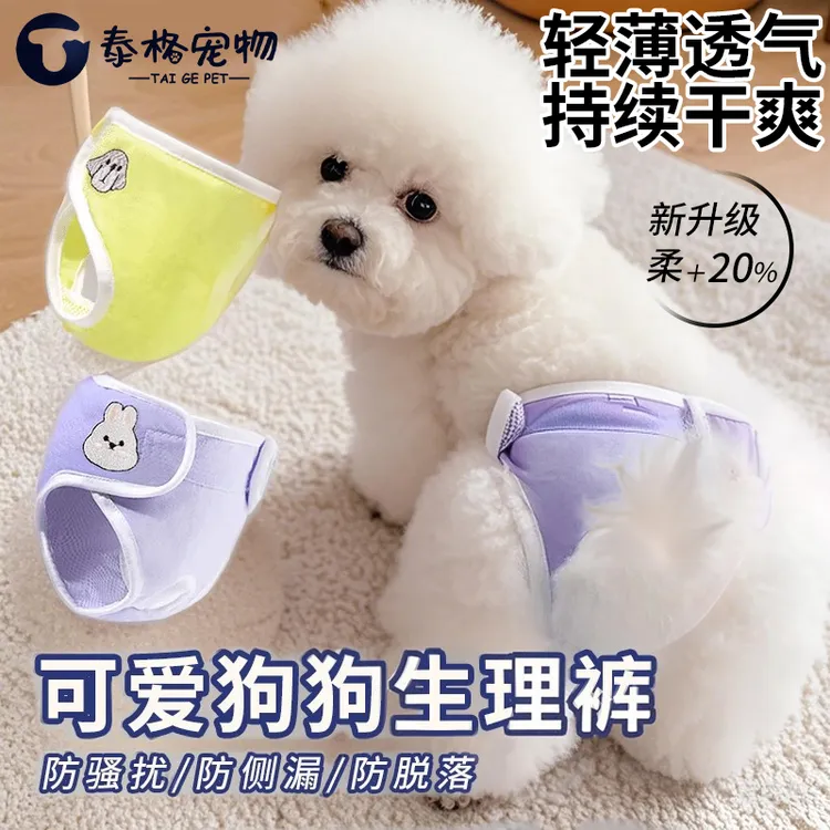 宠物狗狗生理裤泰迪姨妈巾月经期小狗母狗安全纸尿裤狗尿不湿母