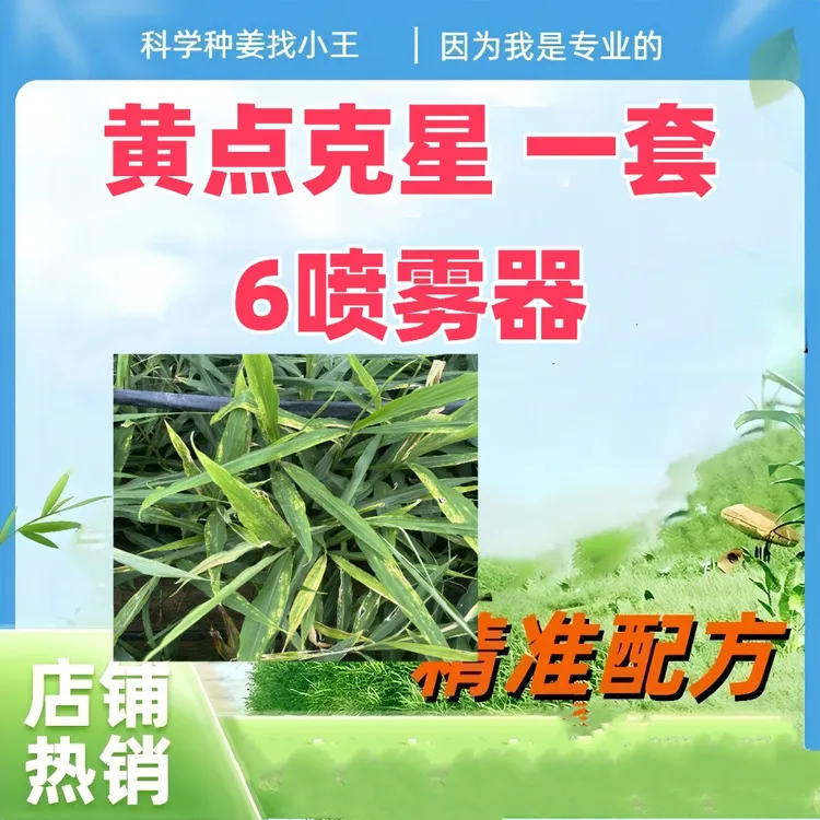 大姜黄点克星  一套6喷雾器