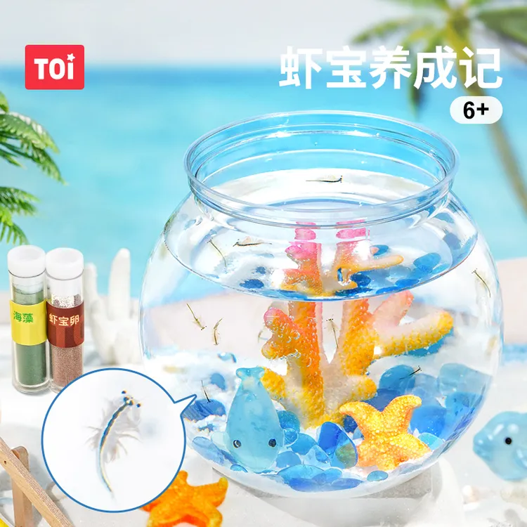 TOI/图益虾宝养成记科学玩具养殖实验小学生生命孵化观察玩具