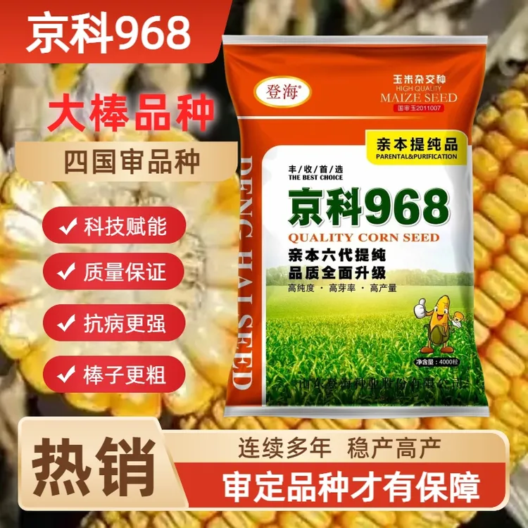 京科968国审认证【耐高温高产稳产】 包衣防虫抗旱抗倒抗病
